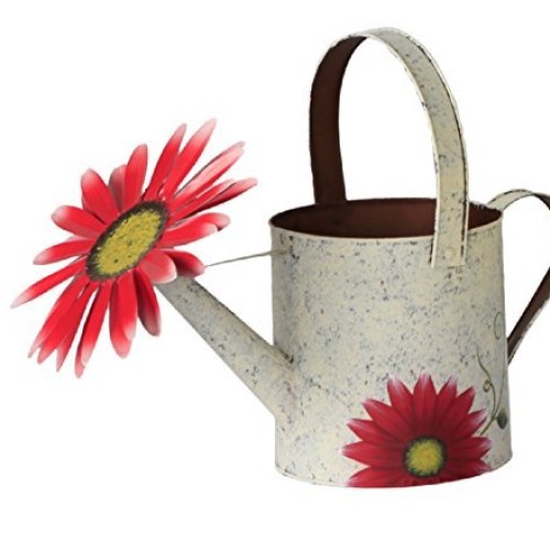 Attraction Design Antique Finish Spring Decorative Watering Can W...