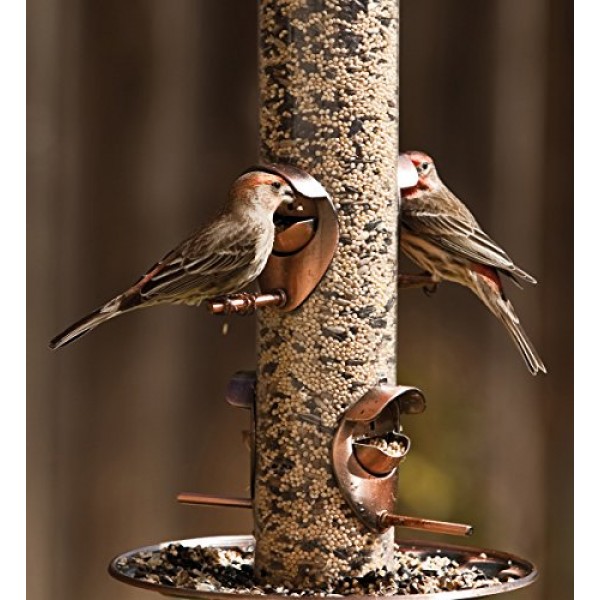 Audubon Park 12241 Songbird Blend Wild Bird Food, 14-Pounds