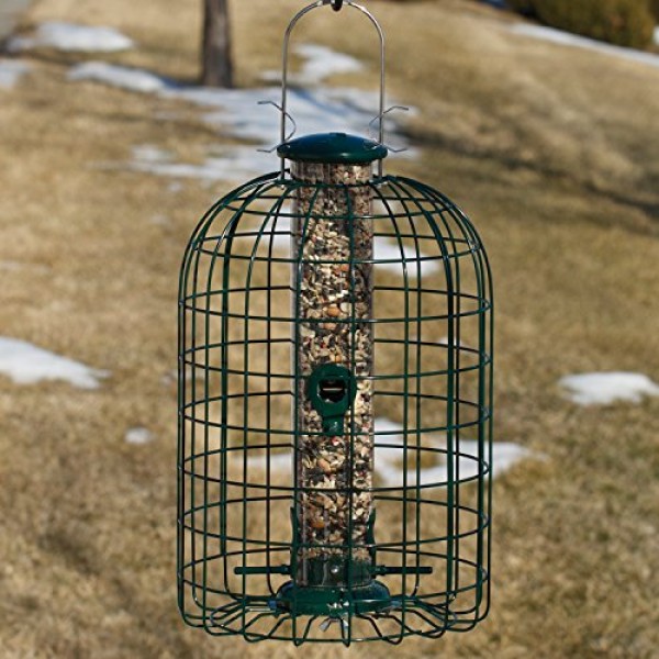 Audubon Squirrel Proof Caged Tube Type Bird Feeder Model NATUBE3