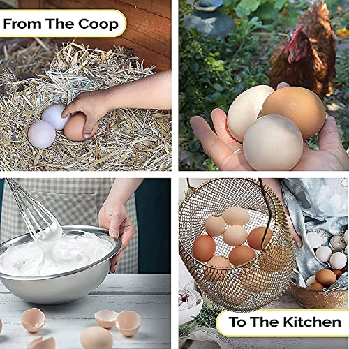 Auhafaly Egg Basket, Collapsible Mini Storage - Can Easily Load Eg...