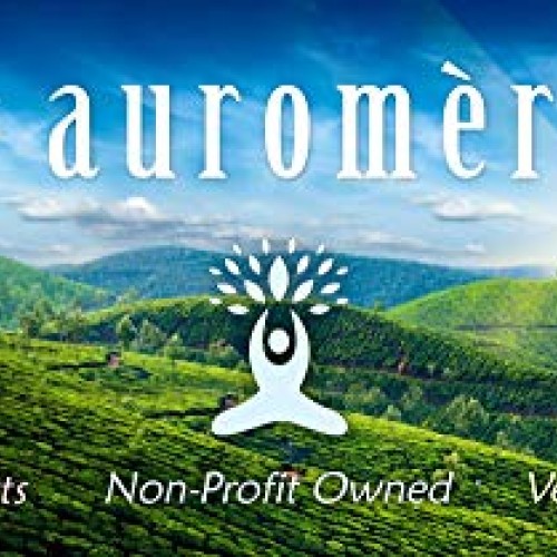 Auromere Ayurvedic Herbal Toothpaste, Variety - Vegan, Natural, No...