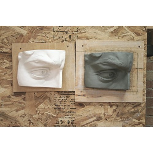 Modeling Clay - Sculpting and Molding Premium Air Dry Clay 25 lb