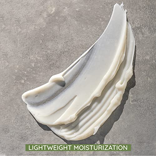 Aveeno Daily Moisturizing Fragrance-Free Prebiotic Oat Face Cream ...