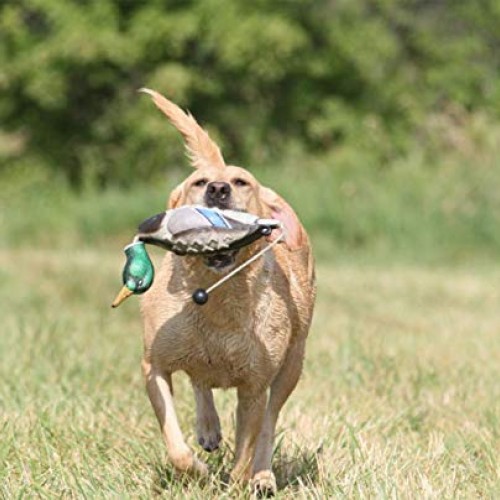 Avery EZ Bird Mallard