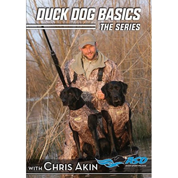 Avery Hunting Gear DVD-Duck Dog Basics Combo Pack