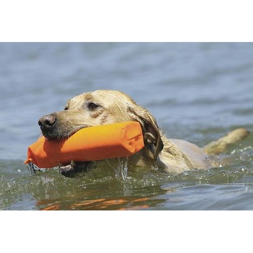 Avery Outdoors Inc 02760 Canvas Bumper White, 2