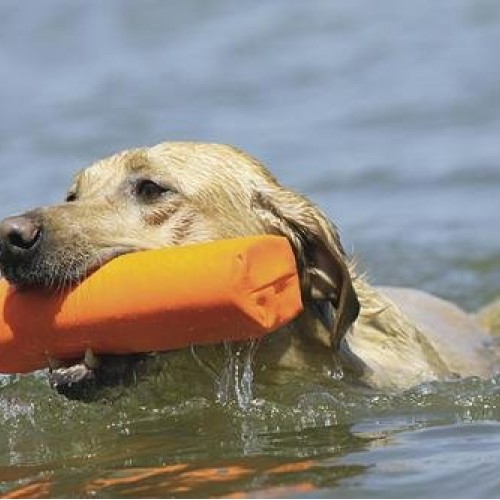 Avery Outdoors Inc 02761 Canvas Bumper Orange, 2