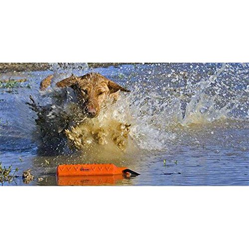 Avery Sporting Dog 2in HexaBumper Trainer Rope Pro Pack 3 White, ...