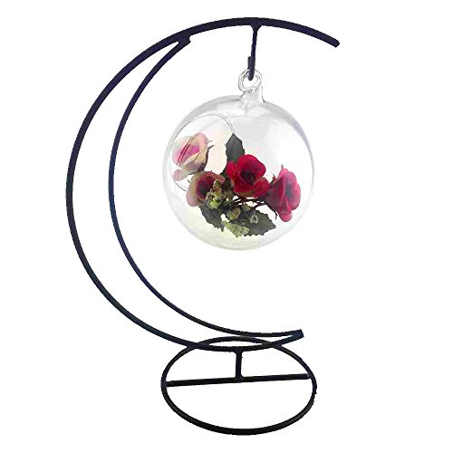 Awesomes Air Plant Flower Pot Suncatchers Wendell August Plate Sta...