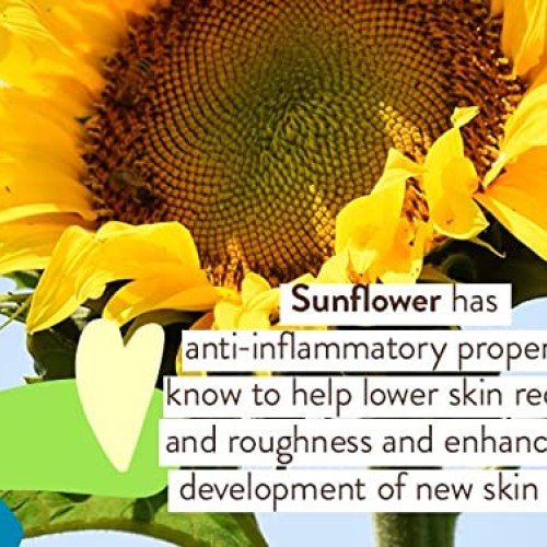 Babo Botanicals Sheer Zinc Continuous Spray Sunscreen SPF 30 with ...