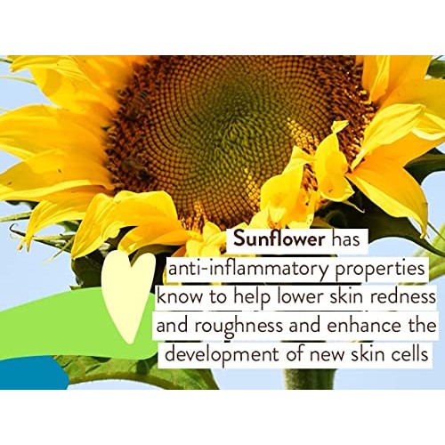 Babo Botanicals Sheer Zinc Continuous Spray Sunscreen SPF 30 with ...