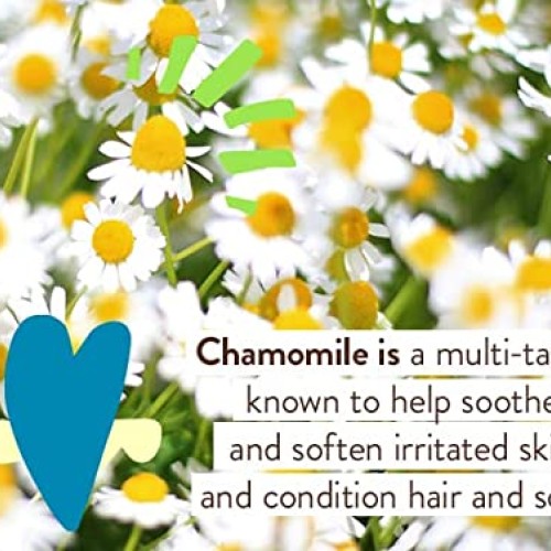 Babo Botanicals Sheer Zinc Continuous Spray Sunscreen SPF 30 with ...