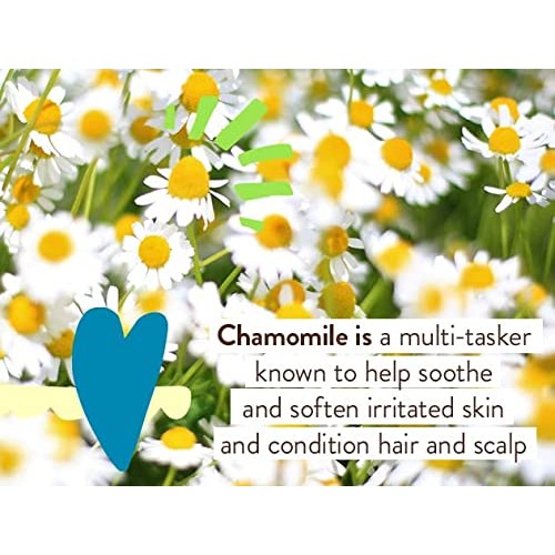 Babo Botanicals Sheer Zinc Continuous Spray Sunscreen SPF 30 with ...