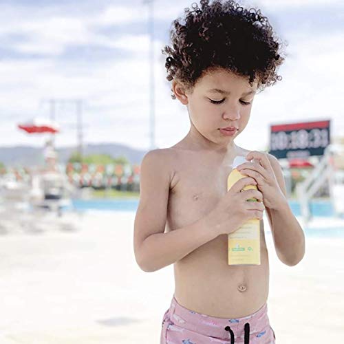 Babo Botanicals Sheer Zinc Continuous Spray Sunscreen SPF 30 with ...