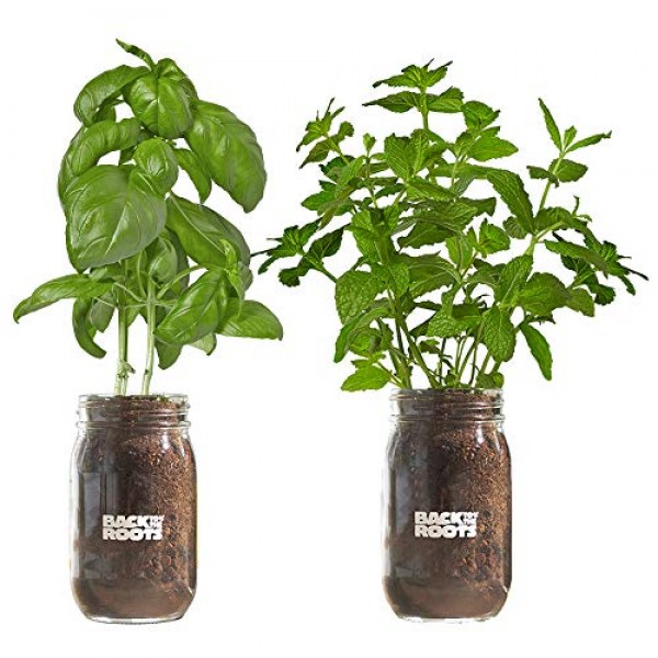 Organic Indoor Herb Garden Kit by Back to the Roots - Non-GMO Basi...