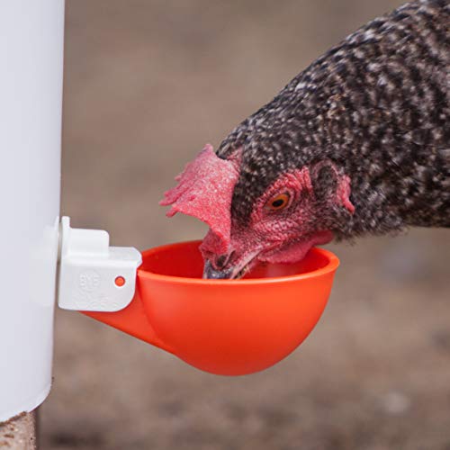 4 Pack Oasis Chicken Watering Cups | Drill Bit and Hardware Incl...