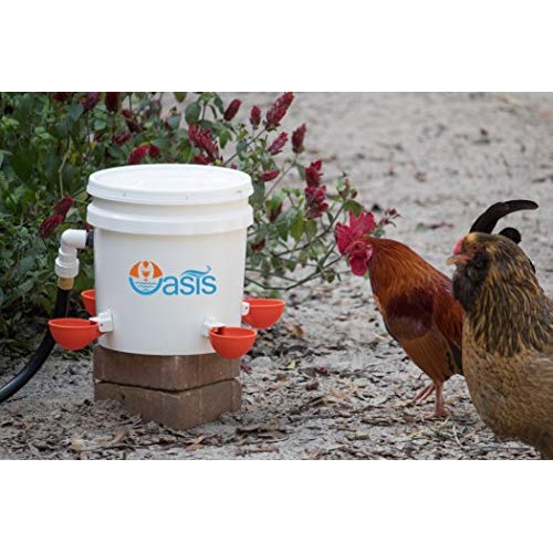 4 Pack Oasis Chicken Watering Cups | Drill Bit and Hardware Incl...