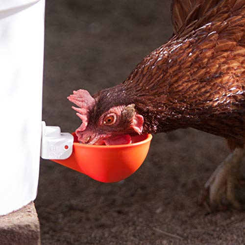 4 Pack Oasis Chicken Watering Cups | Drill Bit and Hardware Incl...