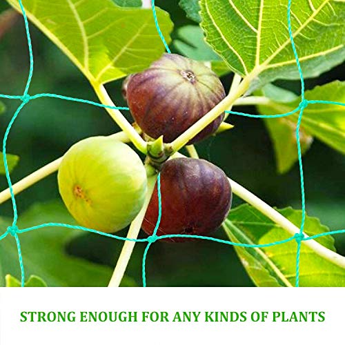 Bamzhu Heavy-Duty Nylon Garden Plant Trellis Netting Elastic Plant...