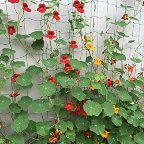 Bamzhu Heavy-Duty Nylon Garden Plant Trellis Netting Elastic Plant...