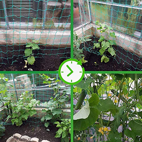Bamzhu Heavy-Duty Nylon Garden Plant Trellis Netting Elastic Plant...