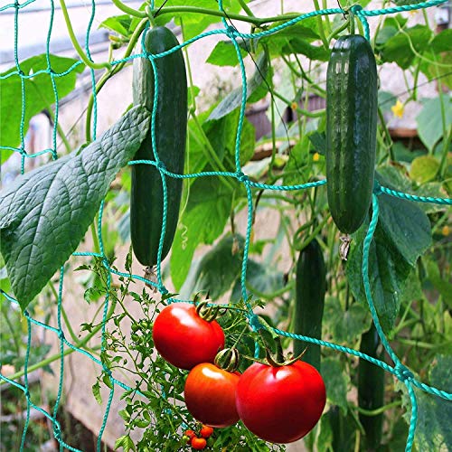 Bamzhu Heavy-Duty Nylon Garden Plant Trellis Netting Elastic Plant...