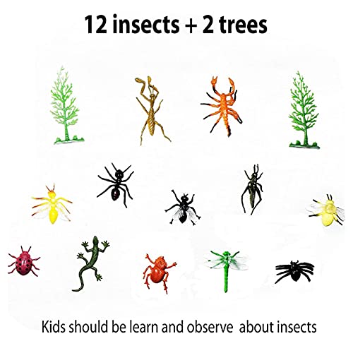 Bug Catcher for Kids, Outdoor Adventure Bug Catching Outdoor Explo...