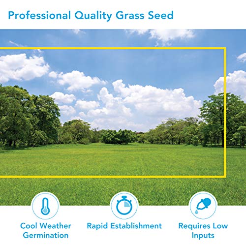 Barenbrug Contractors Professional Grass Seed Mix, 50 lbs