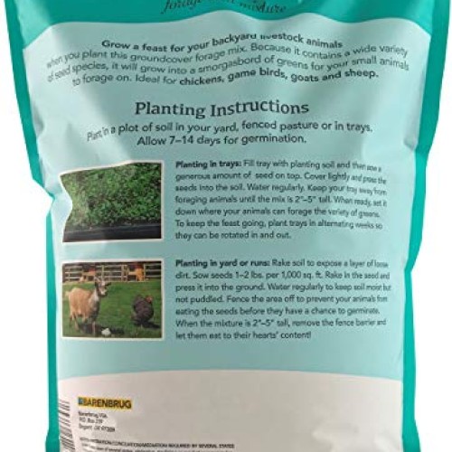 Barenbrug Free Range GroundCover Forage Seed Mixture Ideal for Chi...