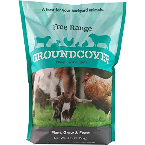 Barenbrug Free Range GroundCover Forage Seed Mixture Ideal for Chi...