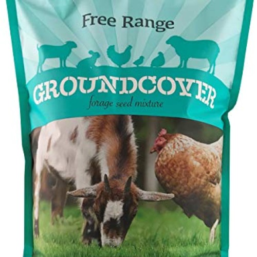 Barenbrug Free Range GroundCover Forage Seed Mixture Ideal for Chi...