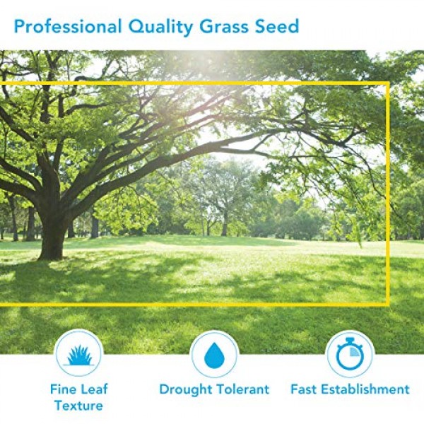 Barenbrug Green Earth Shade Savant Professional Grass Seed Mix, 20...