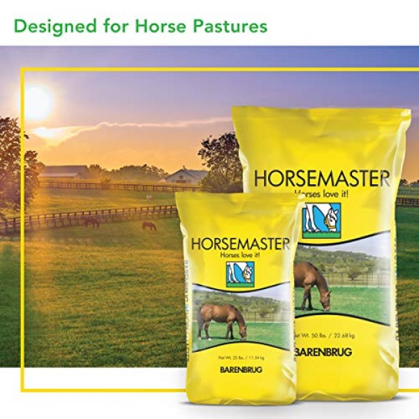 Barenbrug Horsemaster Premium Pasture Grass Seed Mix 25 LB Bag