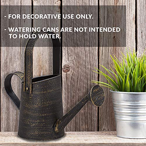 Barnyard Designs Rustic Galvanized Decorative Metal Watering Can w...