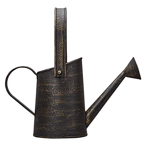 Barnyard Designs Rustic Galvanized Decorative Metal Watering Can w...