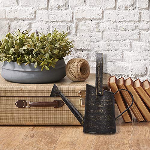 Barnyard Designs Rustic Galvanized Decorative Metal Watering Can w...