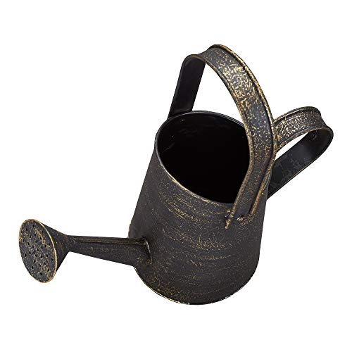 Barnyard Designs Rustic Galvanized Decorative Metal Watering Can w...