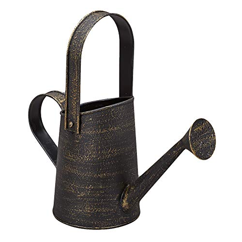 Barnyard Designs Rustic Galvanized Decorative Metal Watering Can w...
