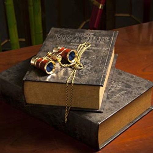 Barska Antique Book Lock Box with Key Lock