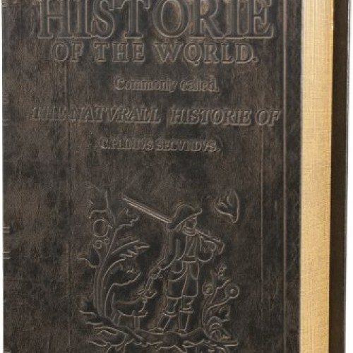 Barska Antique Book Lock Box with Key Lock