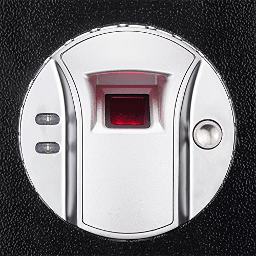 Barska AX11652 Quick Access Biometric Rifle Safe, Small, Multicolor