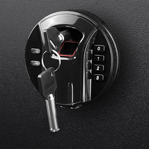 Barska AX13108 Biometric Keypad Depository Safe, One Size, Black