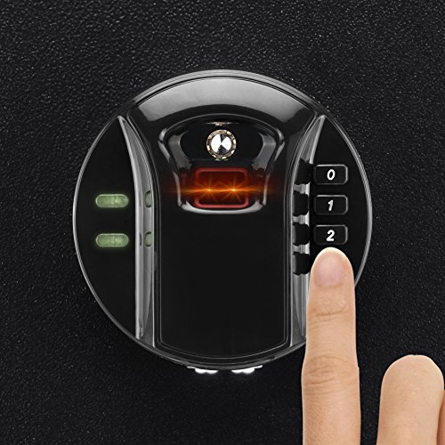 Barska AX13108 Biometric Keypad Depository Safe, One Size, Black