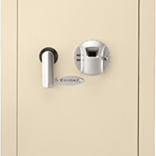 Barska Large Biometric Wall Safe