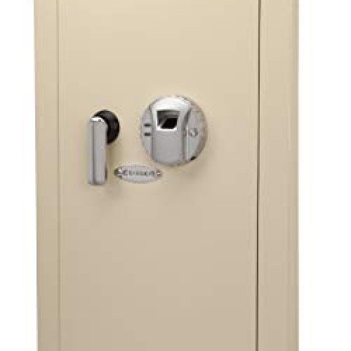 Barska Large Biometric Wall Safe