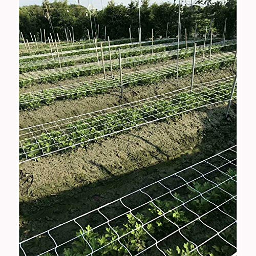 BaseGoal All-Weather Trellis Netting Mesh Plant Garden Vine Growin...