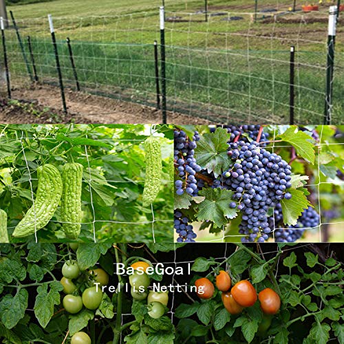 BaseGoal All-Weather Trellis Netting Mesh Plant Garden Vine Growin...