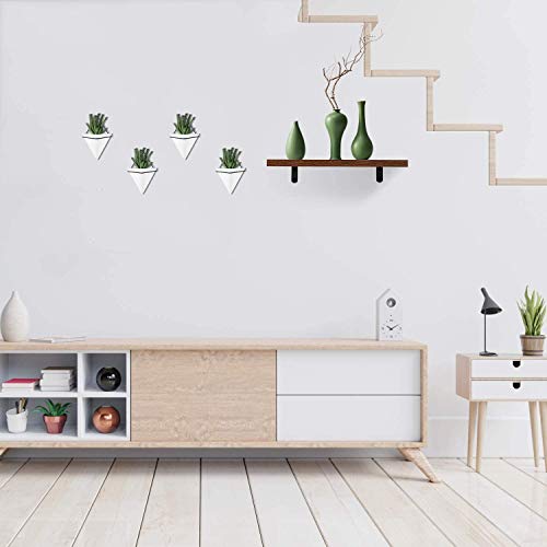 BBA SUNRISE | Geometric Hanging Planter Wall Decor Set of 4, Mul...