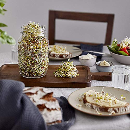 Bcamelys Sprouting Jar Kit Complete with Mason Jar, Stand, Screen ...