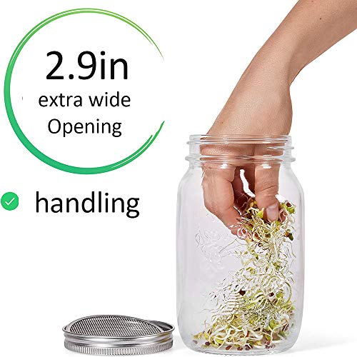 Bcamelys Sprouting Jar Kit Complete with Mason Jar, Stand, Screen ...